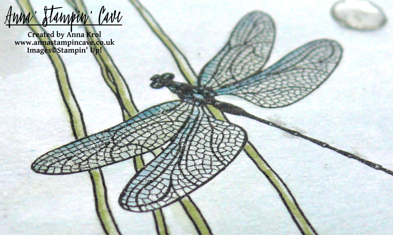 anna-stampin-cave-stampin-up-sale-a-bration-inside-the-lines-dragonfly