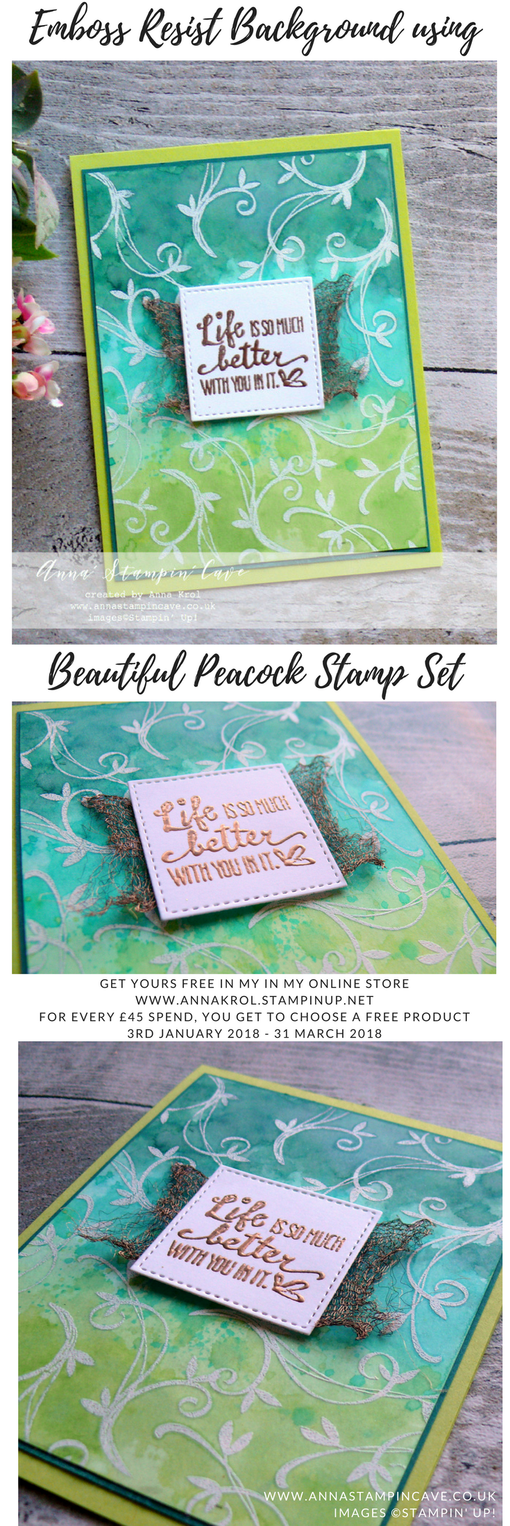Anna' Stampin' Cave - Emboss Resist Watercolour background using Beautiful Peacock Stamp Set