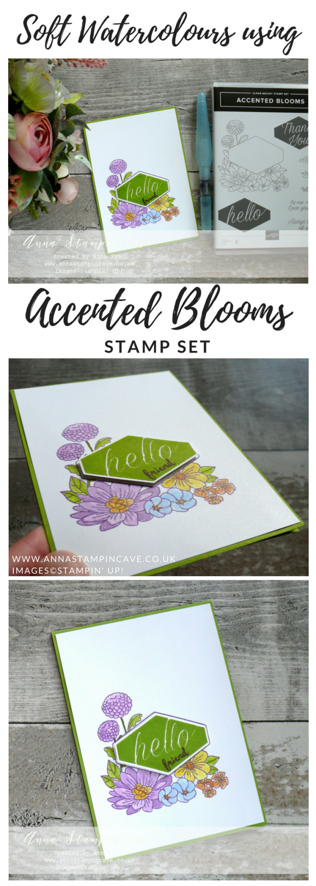 Anna' Stampin' Cave - Soft Watercolours using Accented Blooms Stamp Set with Tailored Tag Punch from Stampin' Up!