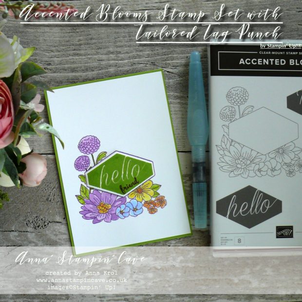 Anna' Stampin' Cave - Soft Watercolours using Accented Blooms Stamp Set with Tailored Tag Punch from Stampin' Up!