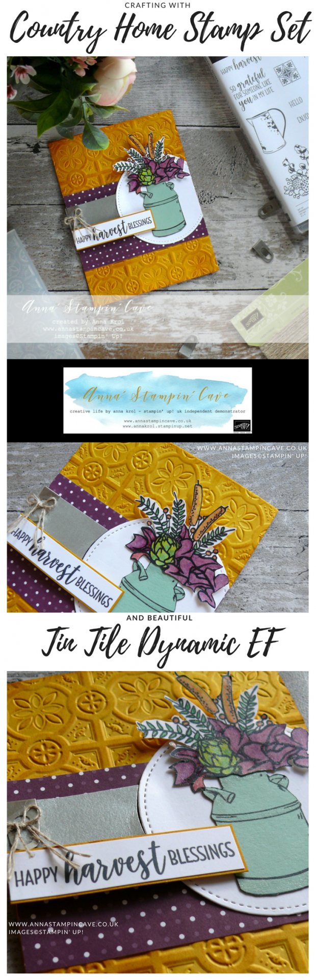 Anna' Stampin' Cave - Country Home Stamp Set with Country Lane DSP & Tin Tile Dynamic Textured Embossing Folder from Stampin' Up!